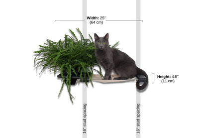 Cat Hammock Wall with Planter