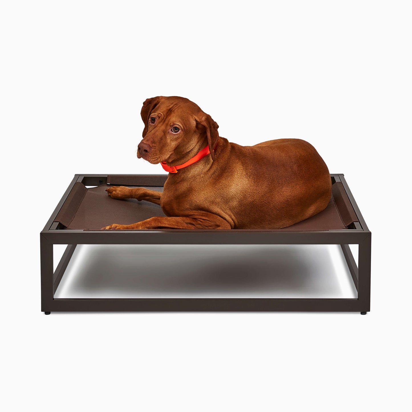 The Up Pup Dog Bed – Brown | Elevated Chew-Resistant Raised Dog Cot with Breathable Mesh & Rust-Proof Metal Frame (S/M/L)