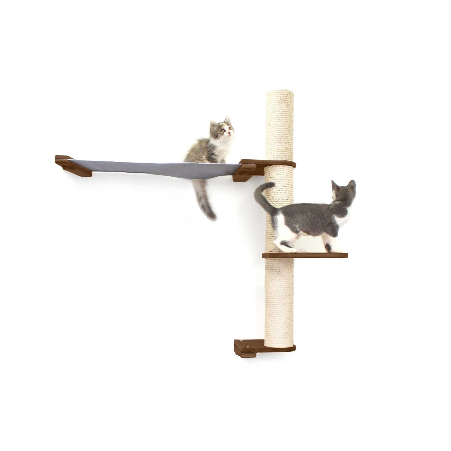 The Crow's Nest - A Wall Cat Scratcher with Hammock