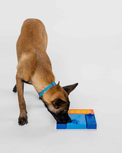 Pawzler Beginner Set | Level 1 Dog Puzzle Toy for Training & Mental Stimulation
