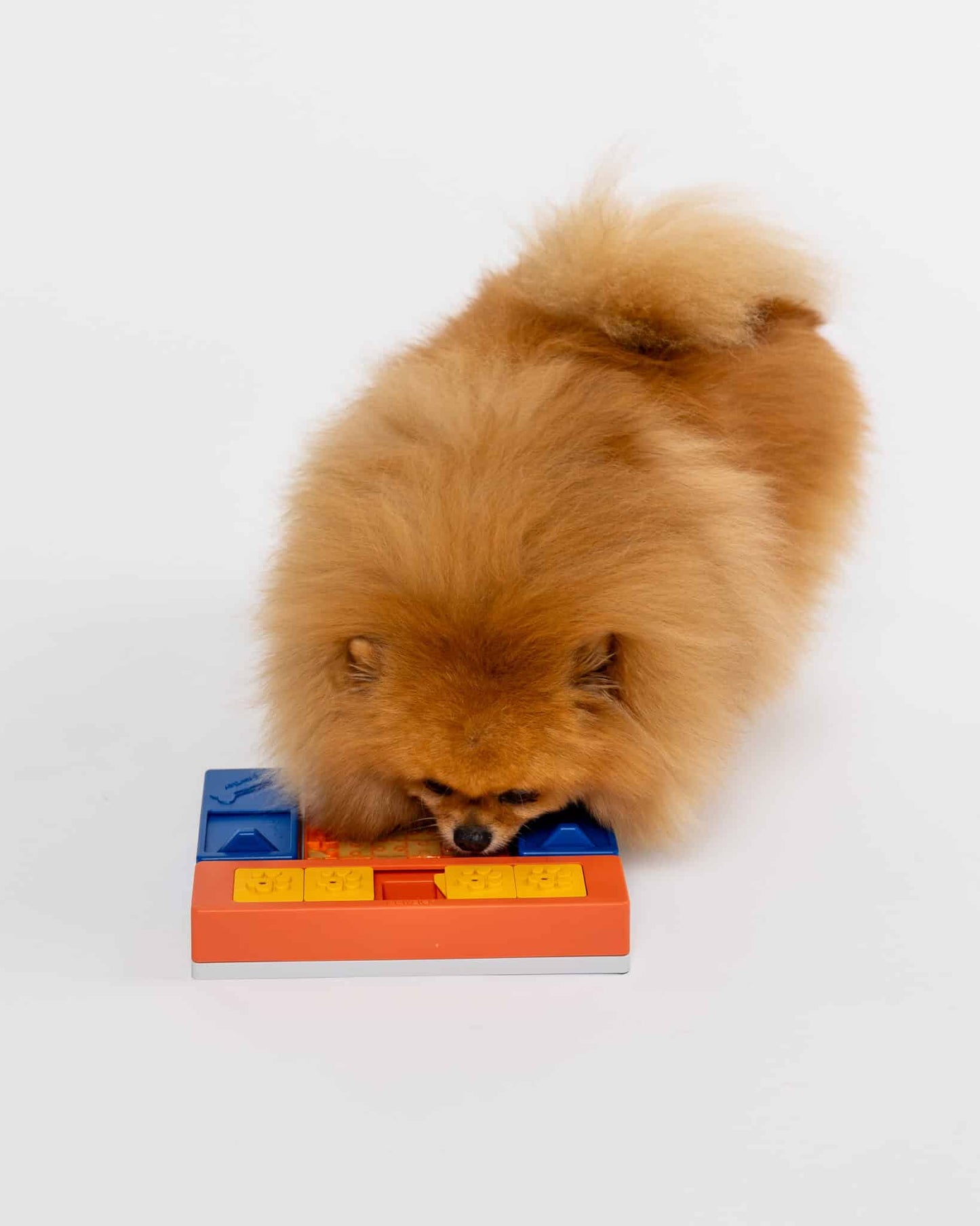 Pawzler Beginner Set | Level 1 Dog Puzzle Toy for Training & Mental Stimulation