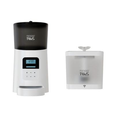 Automatic Cat Feeder & Smart Water Fountain – 6L Programmable Pet Feeder with Portion Control, Voice Recording & Twist-Lock Storage + 2.2L App-Controlled BPA-Free Water Dispenser with 5-Level Filtration