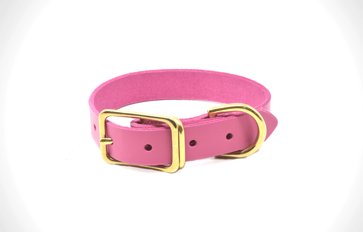 Full Leather Dog Collar – Premium Horween & Wickett & Craig Leather (Handmade USA)