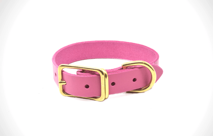 Full Leather Dog Collar – Premium Horween & Wickett & Craig Leather (Handmade USA)