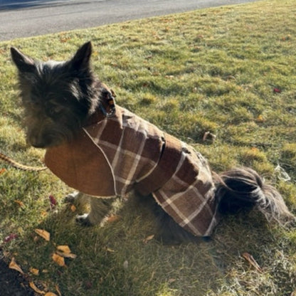 Plaid Hunting Lodge Large Dog Coat – Thermal Windproof Fleece-Lined Winter Jacket for Medium & Large Dogs | Posh Dog Life