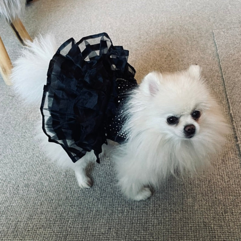 Bling Black Dog Party Dress – Elegant Lace & Pearl Tulle Dress for Small Dogs | Posh Dog Life