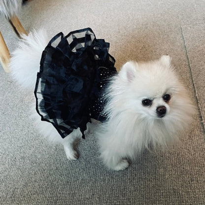 Bling Black Dog Party Dress – Elegant Lace & Pearl Tulle Dress for Small Dogs | Posh Dog Life