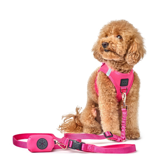 Dogistry Dog Waste Bag Holder – Hot Pink Cotton Stretch Twill with Rose Gold Clasp, Fits Standard Rolls, Includes Bags, 3” x 2.5” x 2”