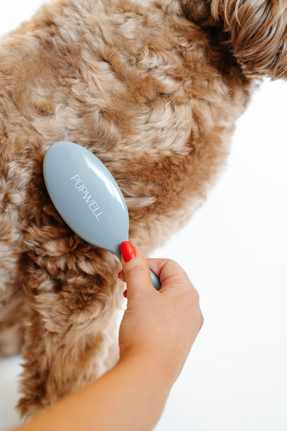 Pupwell Gentle Detangling Dog Brush – Sensitive Skin, Anti-Matting, Daily Grooming Tool