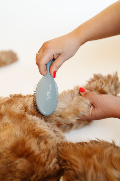 Pupwell Gentle Detangling Dog Brush – Sensitive Skin, Anti-Matting, Daily Grooming Tool
