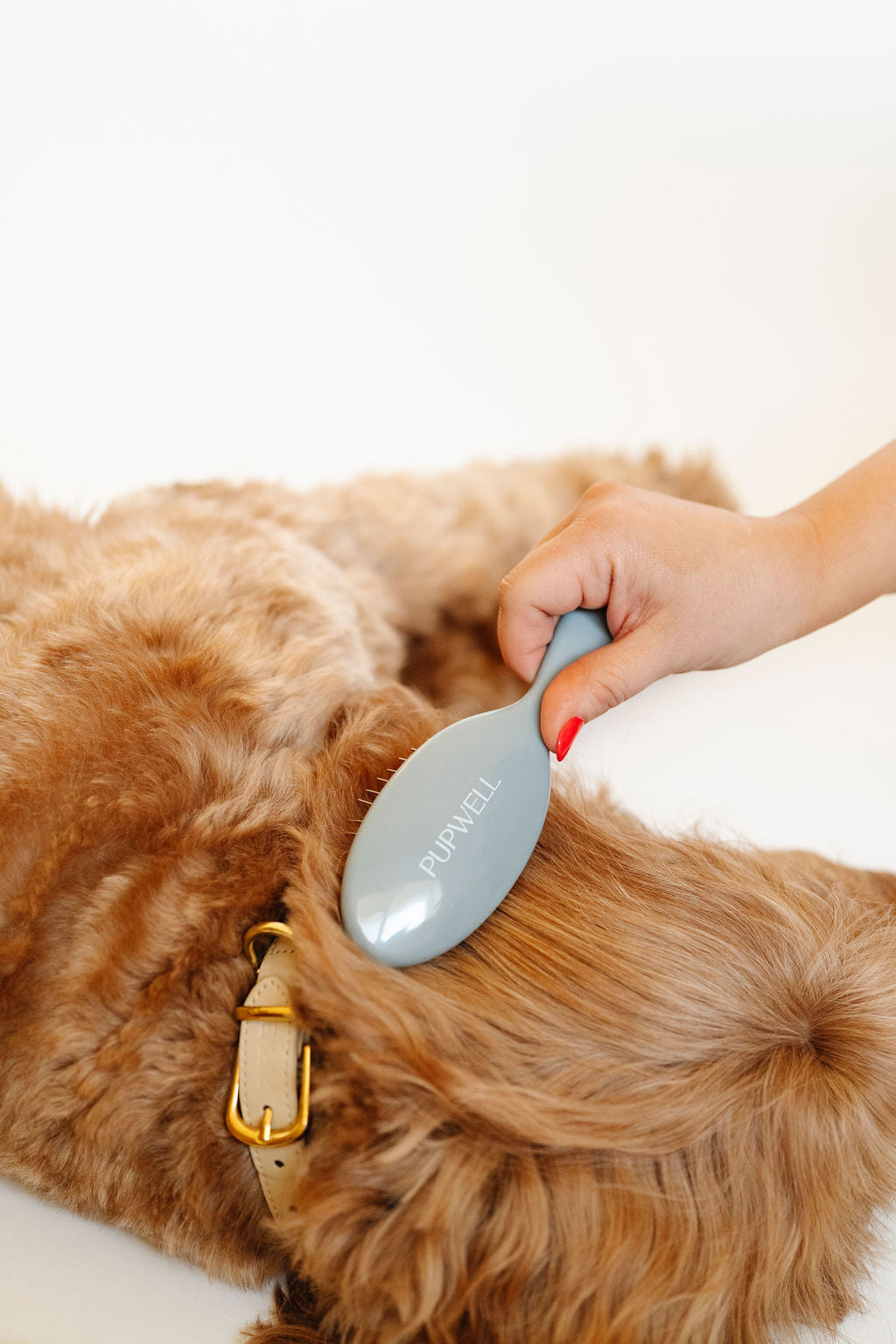 Pupwell Gentle Detangling Dog Brush – Sensitive Skin, Anti-Matting, Daily Grooming Tool