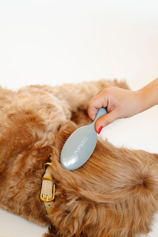 Pupwell Gentle Detangling Dog Brush – Sensitive Skin, Anti-Matting, Daily Grooming Tool