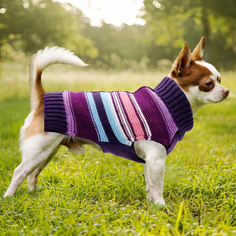 Purple Stripe Dog Sweater – Cozy 100% Cotton Knit with Heart Buttons, Soft & Breathable Fabric for Small to Medium Dogs (XS–2XL)
