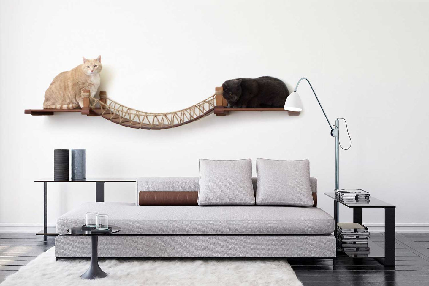 Cat Wall Bridge and Shelf Set