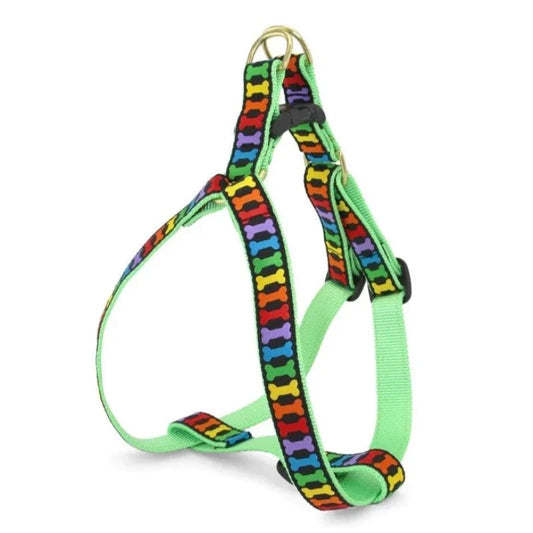 Up Country Rainbones Dog Harness & Leash Matching Set – Colorful Rainbow Bone Design, Made in USA, Adjustable Step-In Harness with Matching 5-ft Leash, Brass Hardware & Coast Guard-Approved Buckles, Machine Washable (Small–Large Dogs)