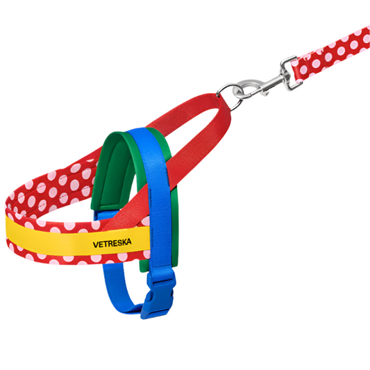 Red Polka Dot Chroma Dog Harness & Leash Set – Adjustable Vetreska Designer Set for Small Dogs (XS–M)