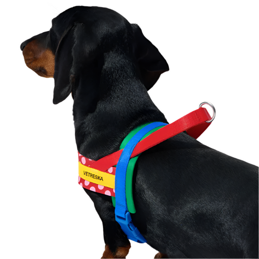 Red Polka Dot Chroma Dog Harness & Leash Set – Adjustable Vetreska Designer Set for Small Dogs (XS–M)