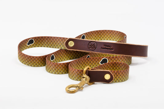 Saltwater Dog Leash – Coastal Leather & Brass (Handmade USA)