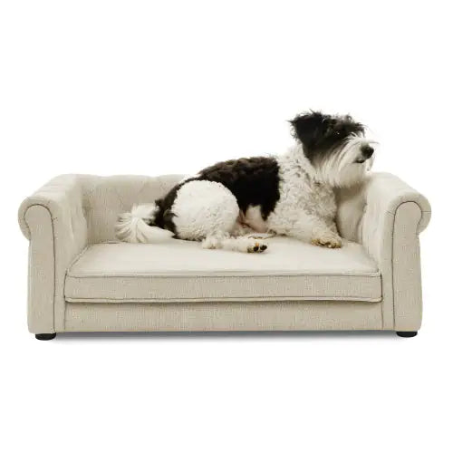 Elegant Rectangular Pet Bed for Medium & Large Dogs | Raised Modern Dog Sofa in Beige