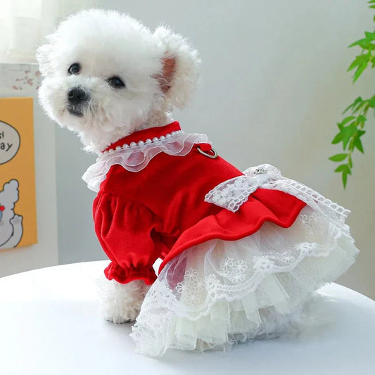 Red Velvet & Lace Holiday Party Dog Dress – Elegant Red Velvet Dress with Lace Skirt & Neckline, Faux Pearl Beaded Trim, and D-Ring for Leash Attachment; Perfect for Christmas or Holiday Parties (Velvet + Lace Material, Sizes XS–XL, Small–Medium Dogs)