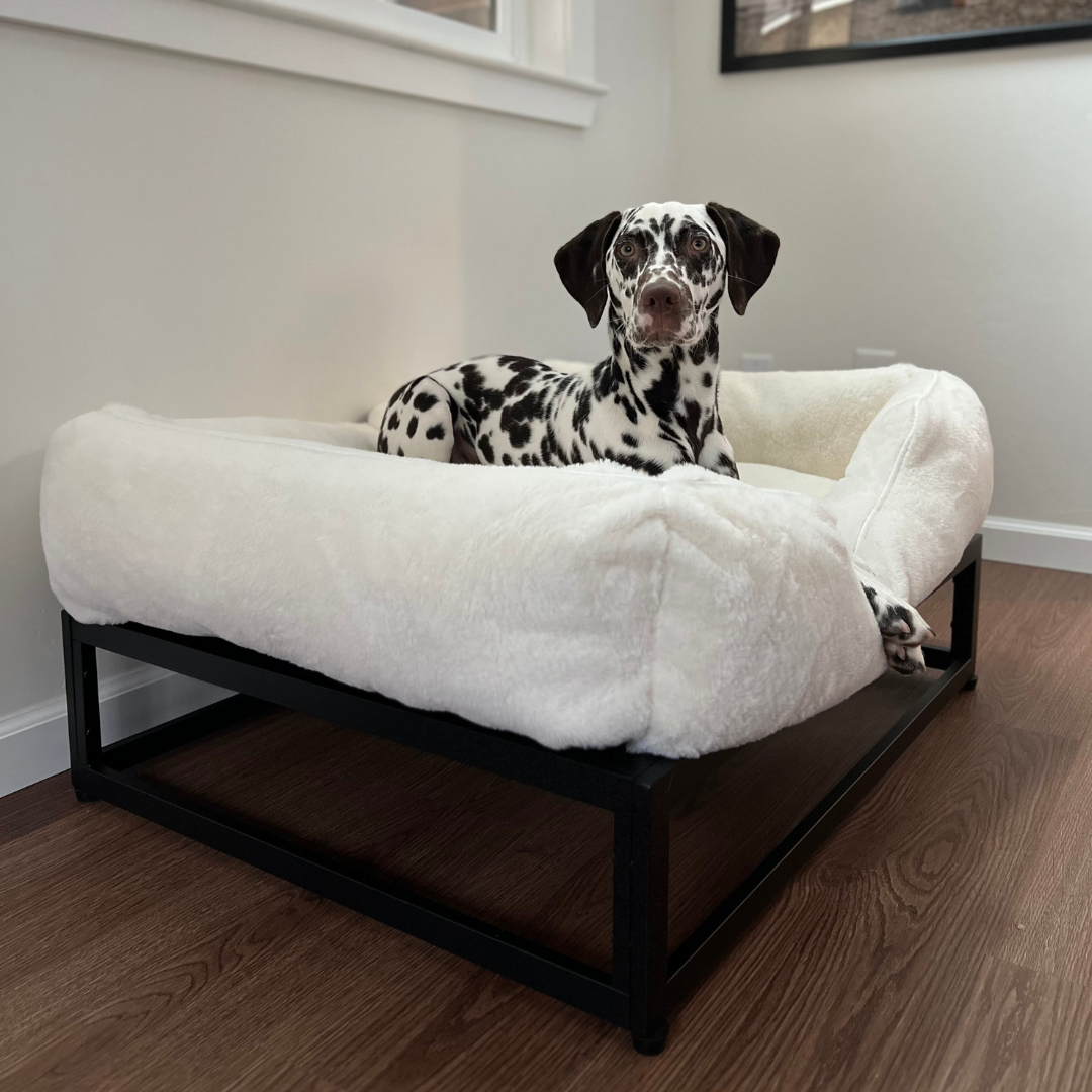 FÜZI Elevated Dog Bed – Luxury Bolster Top & Chew-Proof Metal Platform