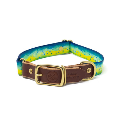 Saltwater Dog Collar – Handmade Waterproof Brass Buckle Beach Collar