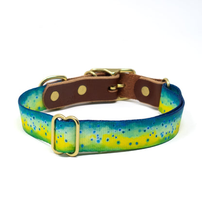 Saltwater Dog Collar – Handmade Waterproof Brass Buckle Beach Collar
