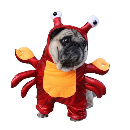 Halloween Red Crab Dog Costume – Adorable Cotton-Blend Pet Outfit with Velcro Neck Strap for Easy Wear, Perfect for Small-to-Medium Dogs (S–XL)