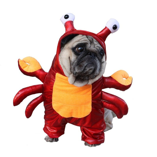 Halloween Red Crab Dog Costume – Adorable Cotton-Blend Pet Outfit with Velcro Neck Strap for Easy Wear, Perfect for Small-to-Medium Dogs (S–XL)