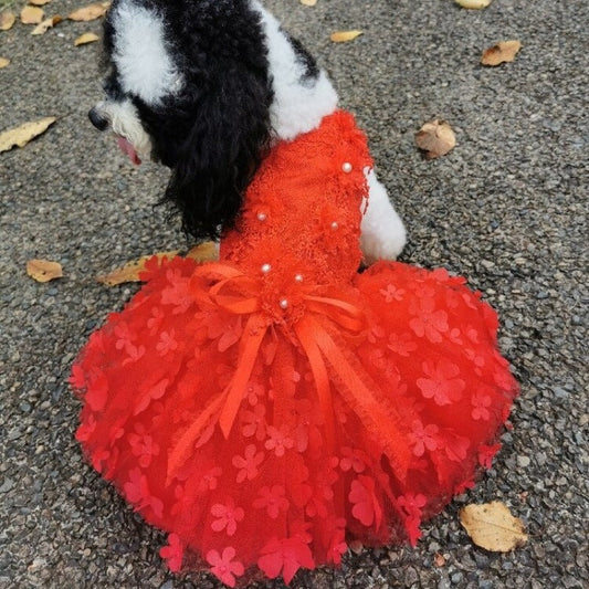 Designer Handmade “Scarlett” Dog Party Dress – Red Floral Lace Dress with 3D Flowers & Tulle Skirt (XS–XL, Custom Sizes Available)