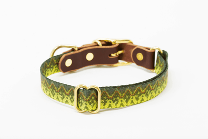 Freshwater Dog Collar – Trout Series Leather & Brass (Handmade USA)
