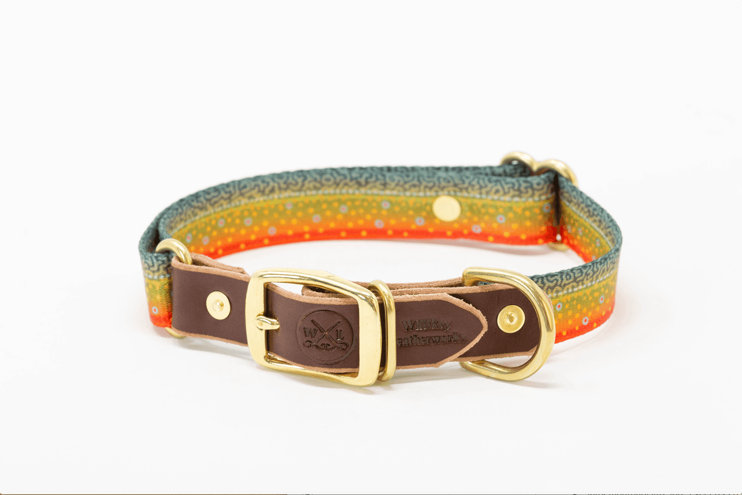 Freshwater Dog Collar – Trout Series Leather & Brass (Handmade USA)