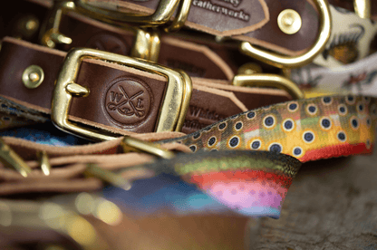 Freshwater Dog Collar – Trout Series Leather & Brass (Handmade USA)