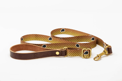 Saltwater Dog Leash – Coastal Leather & Brass (Handmade USA)