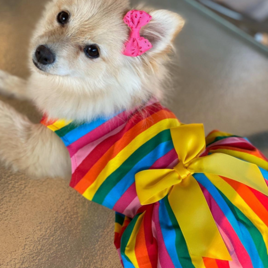 Rainbow Dog Party Dress – Colorful Striped Dog Dress with Yellow Bow for Small Breeds | Posh Dog Life