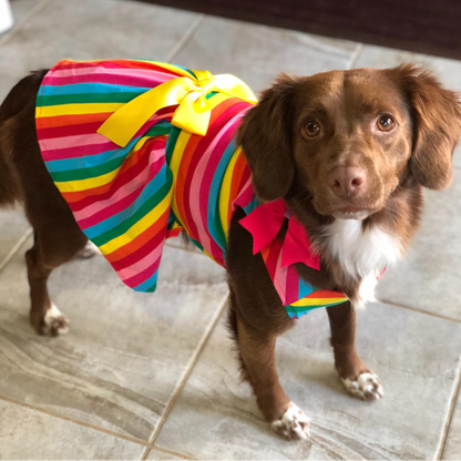 Rainbow Dog Party Dress – Colorful Striped Dog Dress with Yellow Bow for Small Breeds | Posh Dog Life