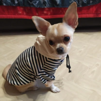 Striped Sailor Dog Hoodie – Classic Navy & Cream Cotton Hoodie for Small Dogs (XS–XL)