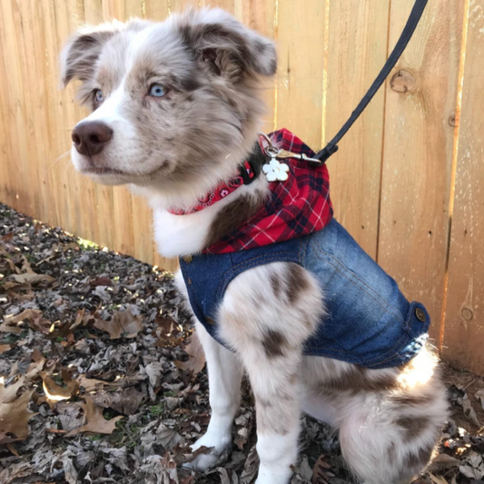 Red Plaid Hoodie Denim Dog Jacket – Embroidered Daisy Jean Vest for Small Dogs (XS–2XL)