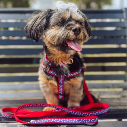Up Country Americana Stars Dog Harness & Leash Matching Set – Made in USA Adjustable Step-In Patriotic Harness with Brass Hardware (Small–Large)