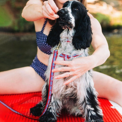 Up Country Anchors Aweigh Dog Harness & Leash Matching Set – Made in USA Adjustable Step-In Nautical Harness with Brass Hardware (Small–Large)