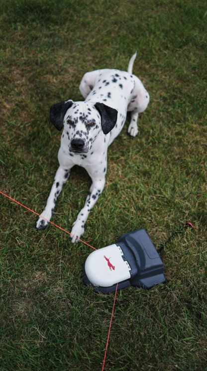 Home Original Lure Course Kit | High-Speed Outdoor Dog Exercise System for Medium Yards