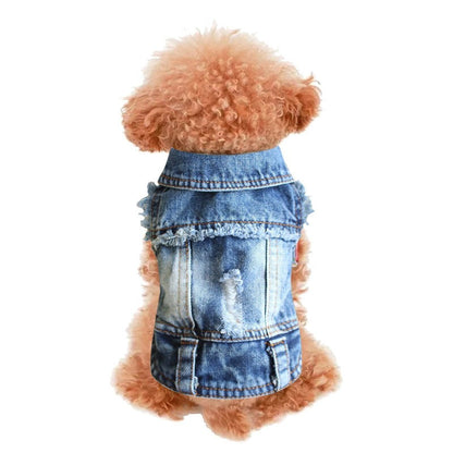 Frayed Denim Dog Jacket – Classic Blue Jean Vest for Small Dogs (XS–2XL)