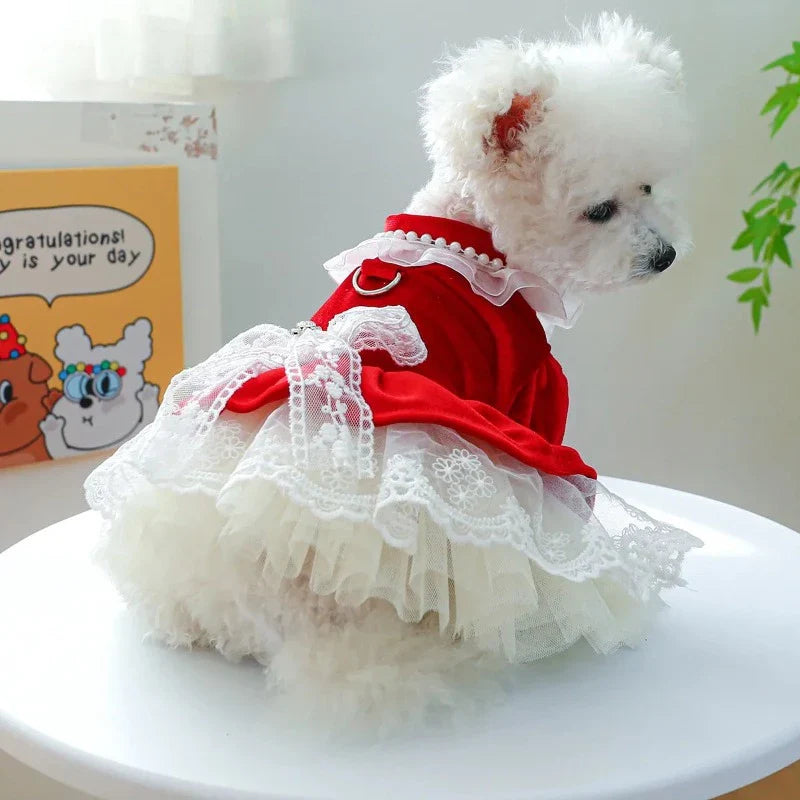 Red Velvet & Lace Holiday Party Dog Dress – Elegant Red Velvet Dress with Lace Skirt & Neckline, Faux Pearl Beaded Trim, and D-Ring for Leash Attachment; Perfect for Christmas or Holiday Parties (Velvet + Lace Material, Sizes XS–XL, Small–Medium Dogs)