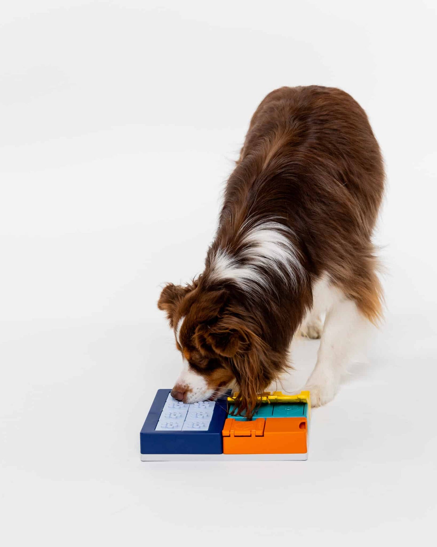 Pawzler Smarty Set | Intermediate Dog Puzzle Toy for Mental Stimulation & Problem Solving