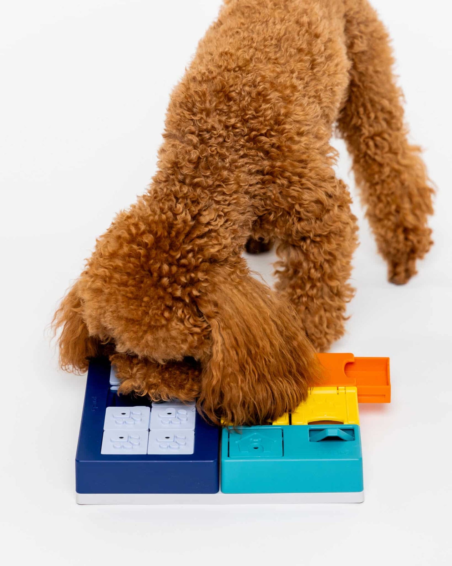 Pawzler Smarty Set | Intermediate Dog Puzzle Toy for Mental Stimulation & Problem Solving