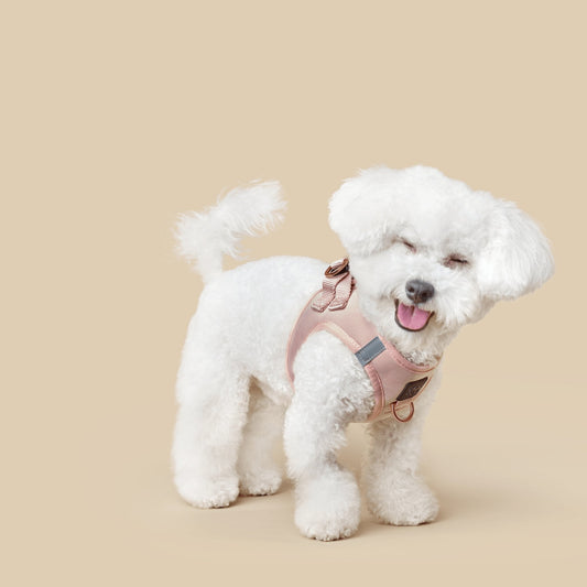 Dogistry SoHo No-Pull Step-In Dog Harness – Blush Pink with Front D-Ring, Adjustable Velcro & Buckle Closures, Escape-Resistant Luxury Design