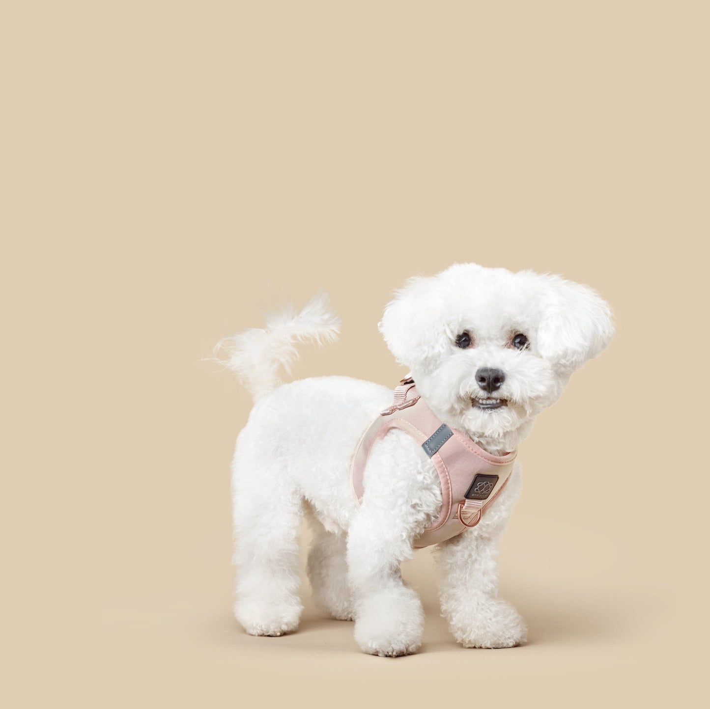 Dogistry SoHo No-Pull Step-In Dog Harness – Blush Pink with Front D-Ring, Adjustable Velcro & Buckle Closures, Escape-Resistant Luxury Design