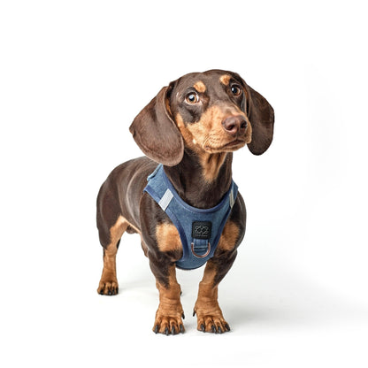 Dogistry SoHo No-Pull Step-In Dog Harness – Denim Blue with Rose Gold Front D-Ring, Adjustable Velcro & Buckle Closures, Escape-Resistant Luxury Design
