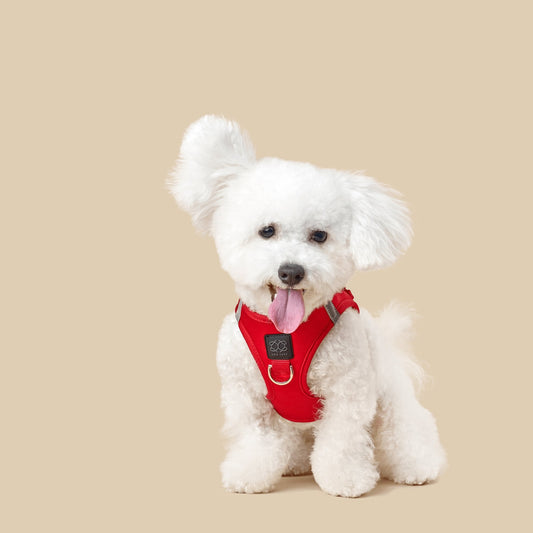 Dogistry SoHo No-Pull Step-In Dog Harness – Iconic Red with Front D-Ring, Adjustable Velcro & Buckle Closures, Escape-Resistant Luxury Design