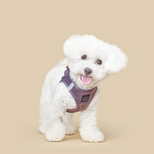 Dogistry SoHo No-Pull Step-In Dog Harness – Lilac Gray with Front D-Ring, Adjustable Velcro & Buckle Closures, Escape-Resistant Luxury Design